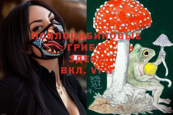 винт Баксан
