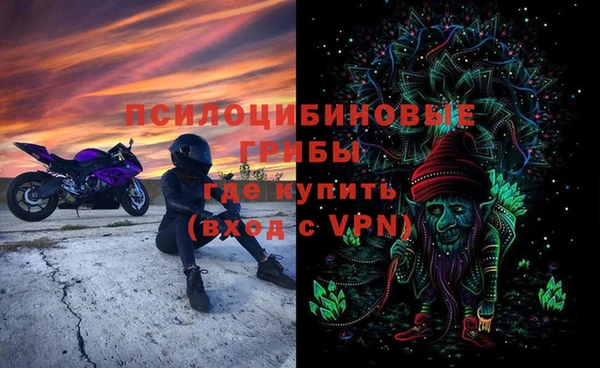 a pvp Ростов