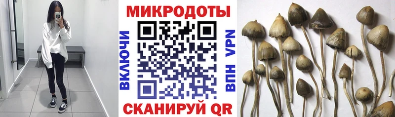 Псилоцибиновые грибы GOLDEN TEACHER  Оленегорск 